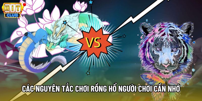 Các nguyên tắc chơi Rồng Hổ người chơi cần nhớ Các nguyên tắc chơi Rồng Hổ người chơi cần nhớ
