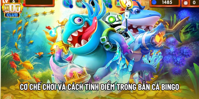 Cơ chế chơi và cách tính điểm trong bắn cá Bingo Cơ chế chơi và cách tính điểm trong bắn cá Bingo