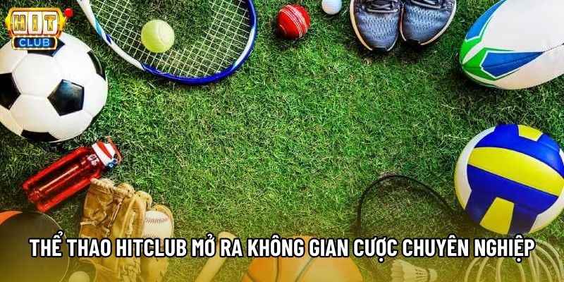 Thể thao Hitclub mở ra không gian cược chuyên nghiệp Thể thao Hitclub mở ra không gian cược chuyên nghiệp